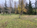 Photo numero 46445404 du bien UBI461255690
